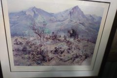 IMG_20240728_114627-scaled