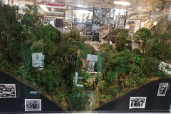 IMG_20240728_121208-2